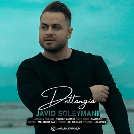 Javid Soleymani – Deltangia